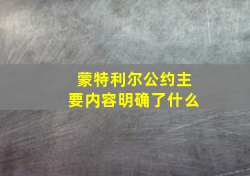 蒙特利尔公约主要内容明确了什么