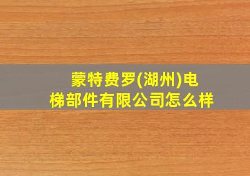 蒙特费罗(湖州)电梯部件有限公司怎么样