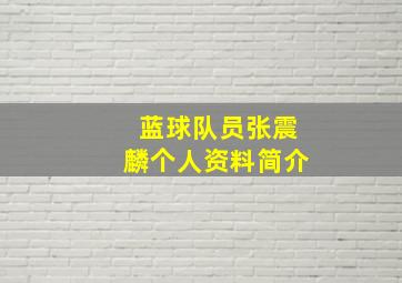 蓝球队员张震麟个人资料简介