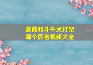 藏獒和斗牛犬打架哪个厉害视频大全