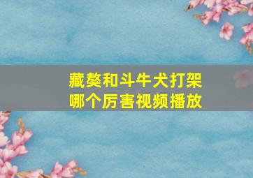 藏獒和斗牛犬打架哪个厉害视频播放