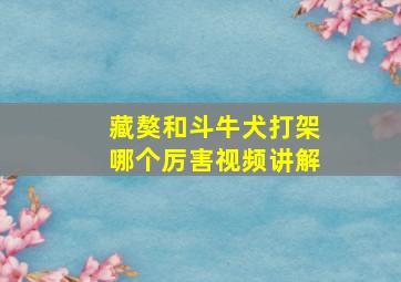 藏獒和斗牛犬打架哪个厉害视频讲解