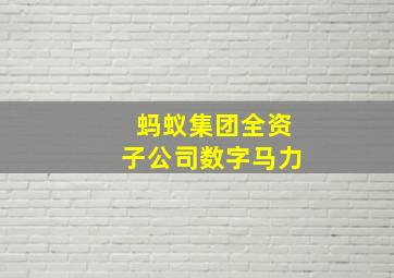 蚂蚁集团全资子公司数字马力