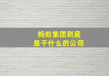 蚂蚁集团到底是干什么的公司