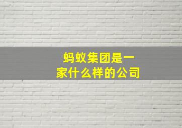 蚂蚁集团是一家什么样的公司