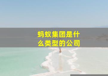 蚂蚁集团是什么类型的公司