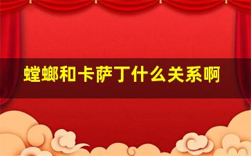 螳螂和卡萨丁什么关系啊