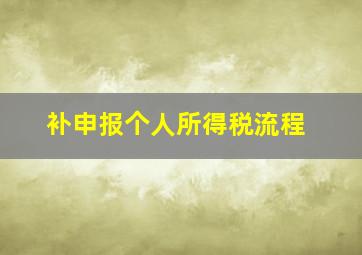 补申报个人所得税流程