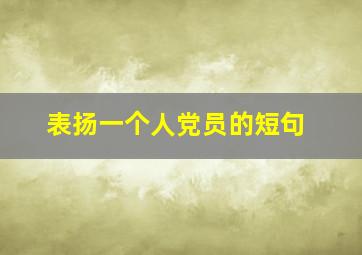 表扬一个人党员的短句