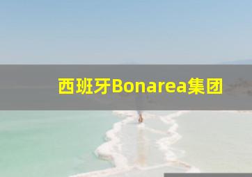 西班牙Bonarea集团