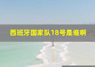 西班牙国家队18号是谁啊