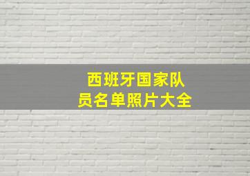 西班牙国家队员名单照片大全