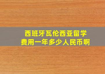 西班牙瓦伦西亚留学费用一年多少人民币啊