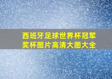 西班牙足球世界杯冠军奖杯图片高清大图大全