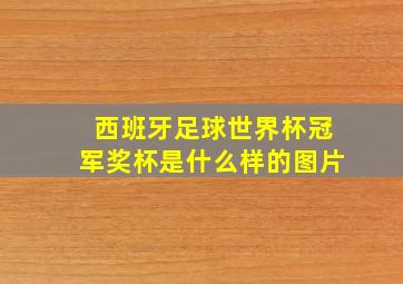 西班牙足球世界杯冠军奖杯是什么样的图片