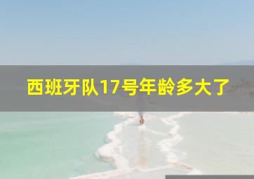 西班牙队17号年龄多大了