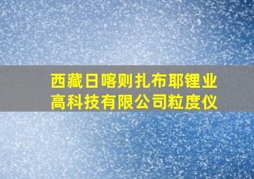 西藏日喀则扎布耶锂业高科技有限公司粒度仪