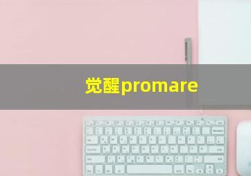 觉醒promare