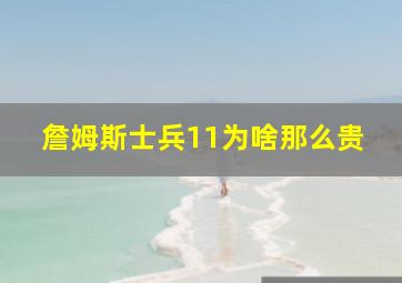 詹姆斯士兵11为啥那么贵