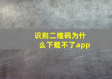 识别二维码为什么下载不了app