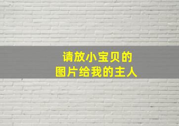 请放小宝贝的图片给我的主人