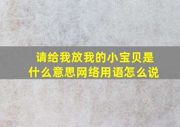 请给我放我的小宝贝是什么意思网络用语怎么说