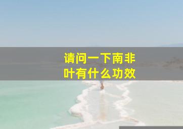 请问一下南非叶有什么功效