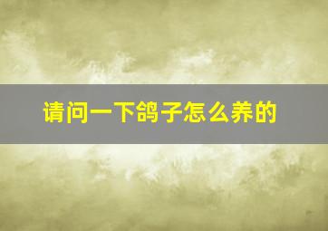 请问一下鸽子怎么养的