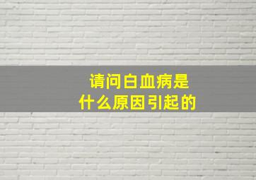 请问白血病是什么原因引起的