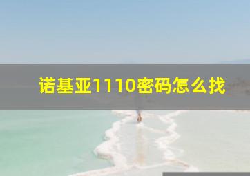 诺基亚1110密码怎么找