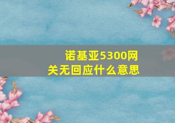 诺基亚5300网关无回应什么意思