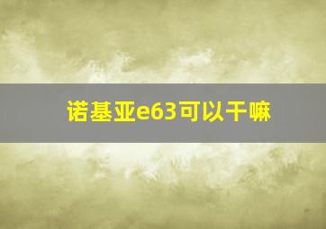 诺基亚e63可以干嘛