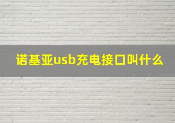 诺基亚usb充电接口叫什么