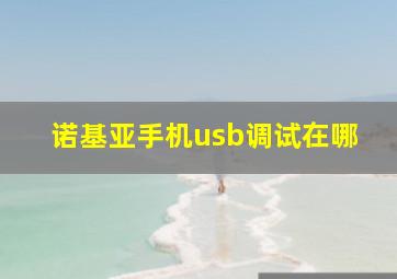 诺基亚手机usb调试在哪