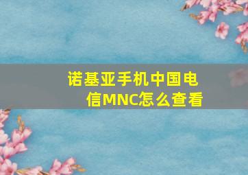 诺基亚手机中国电信MNC怎么查看