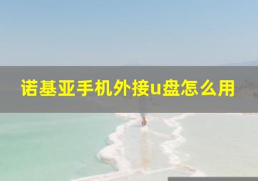 诺基亚手机外接u盘怎么用