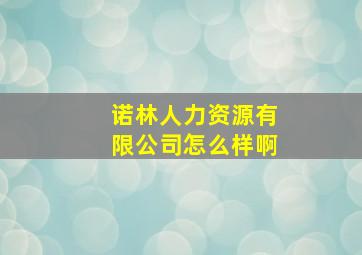 诺林人力资源有限公司怎么样啊