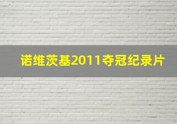 诺维茨基2011夺冠纪录片