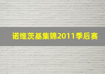 诺维茨基集锦2011季后赛