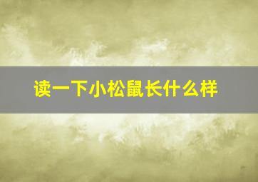 读一下小松鼠长什么样