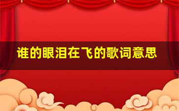 谁的眼泪在飞的歌词意思