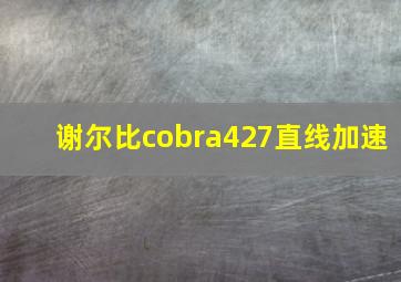 谢尔比cobra427直线加速