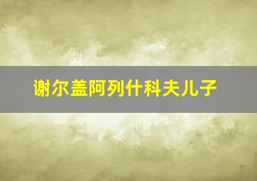 谢尔盖阿列什科夫儿子