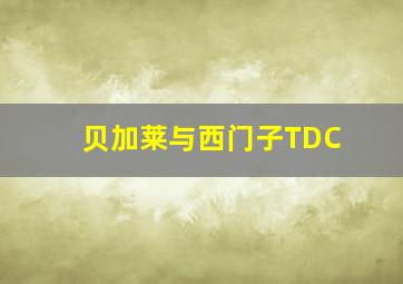 贝加莱与西门子TDC