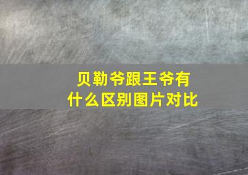 贝勒爷跟王爷有什么区别图片对比