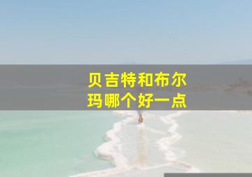 贝吉特和布尔玛哪个好一点