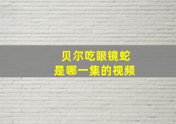 贝尔吃眼镜蛇是哪一集的视频