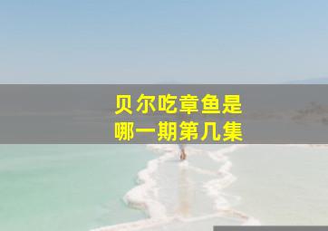 贝尔吃章鱼是哪一期第几集