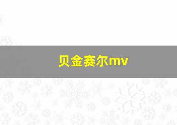 贝金赛尔mv