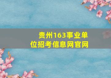 贵州163事业单位招考信息网官网